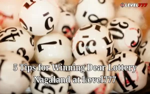Dear Lottery Nagaland